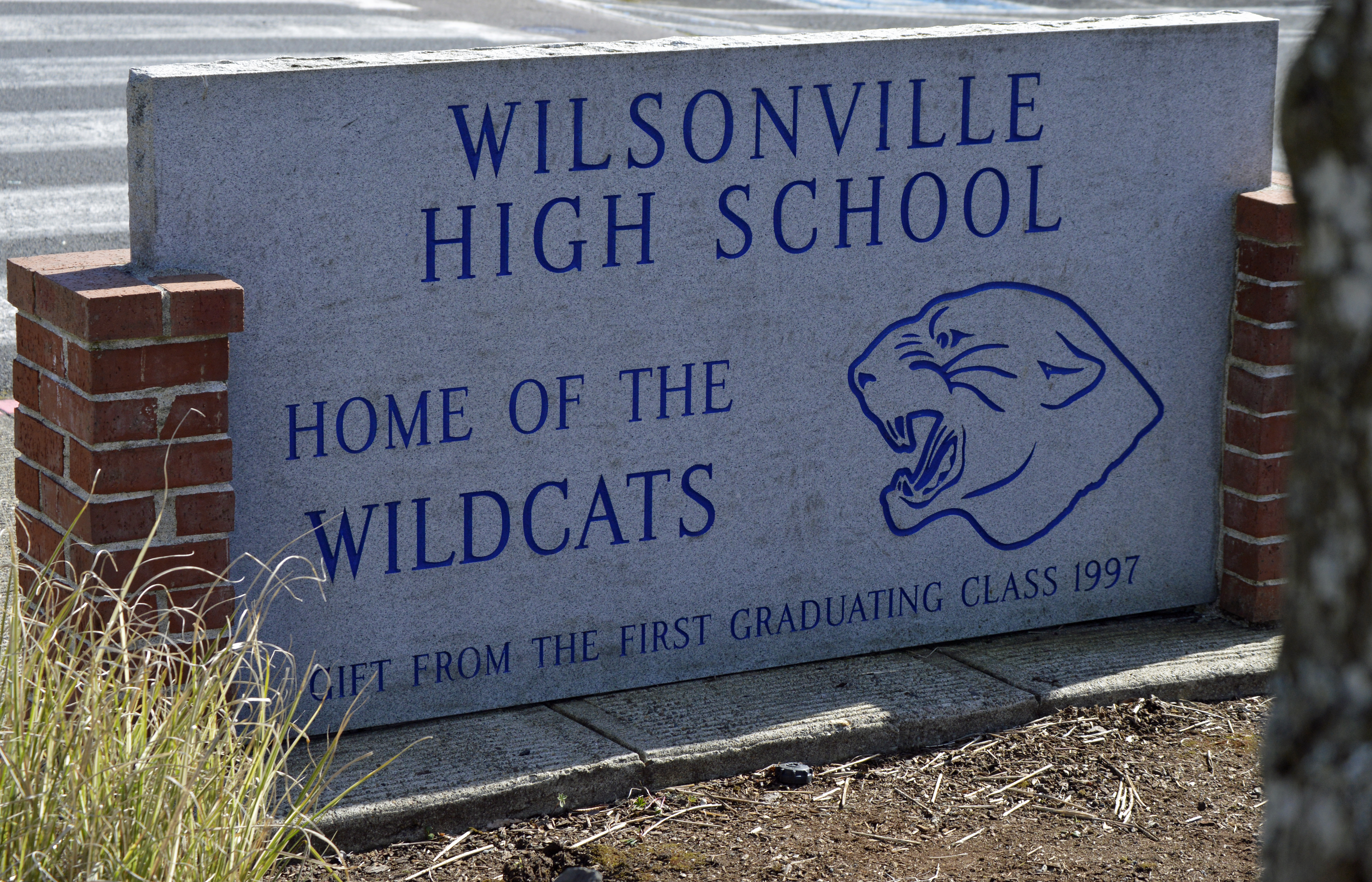 14-wilsonville-high-school-home-of-the-wildcats-the-kelly-group-real-estate
