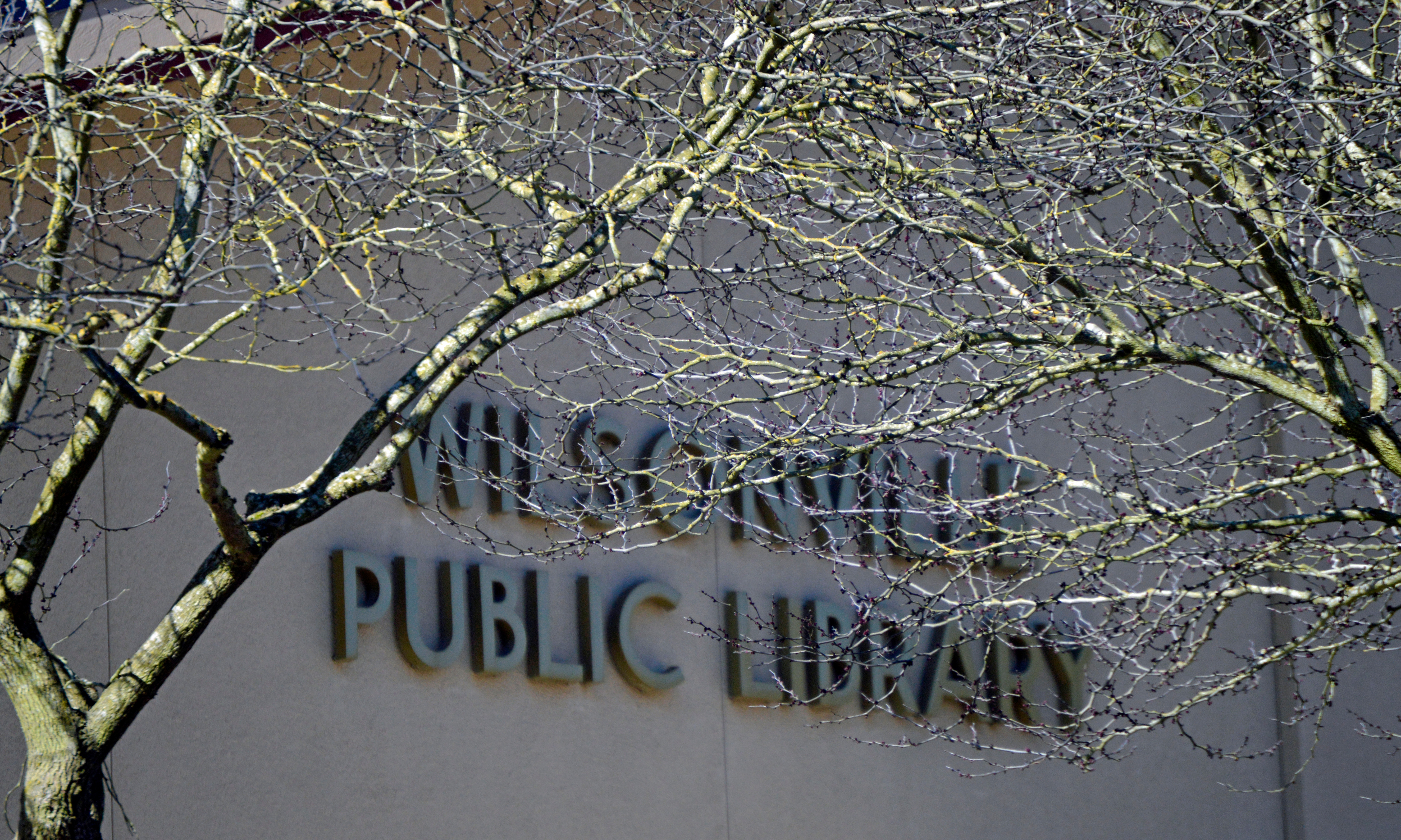 18-wilsonville-public-library-the-kelly-group-real-estate