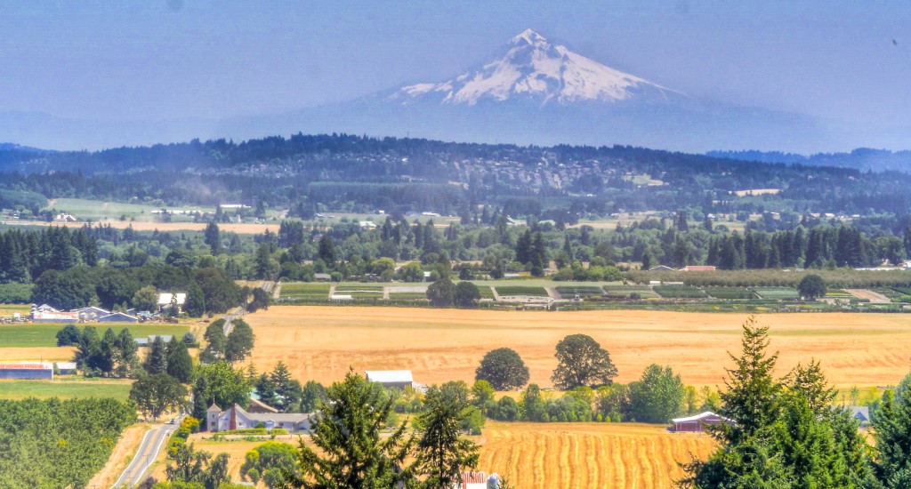 mountain-views-pacific-northwest